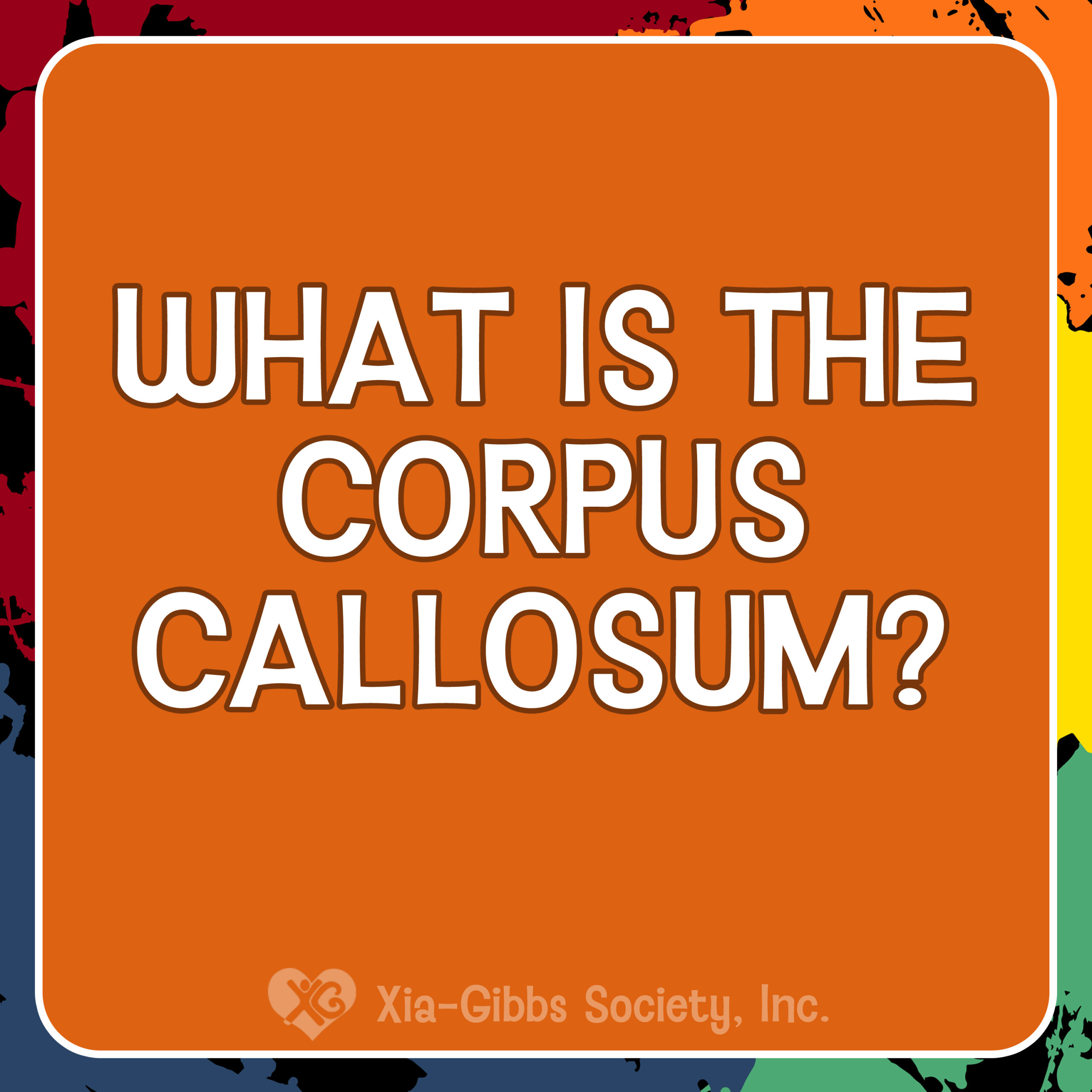 10Corpus1